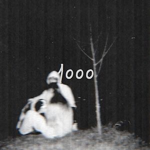 rares - 1000 de zile