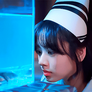 메기