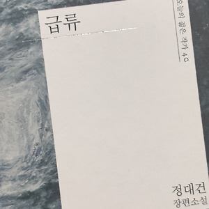 [문학/소설] 《급류》 | 정대건