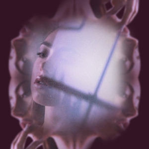 Baker Grace - Bottle of Wine