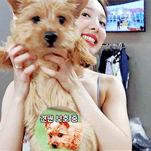 200716 TWICE TV “MORE & MORE” Comeback Week #4 나연 움짤 - 4p