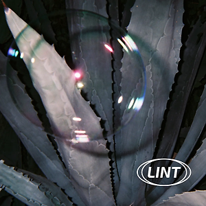 Lint - For You
