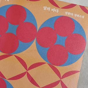 [문학/소설] 《달의 바다》 | 정한아