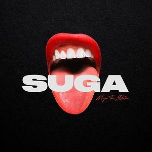 Megan Thee Stallion - Captain Hook