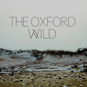 The Oxford Wild - Guilty Pleasure / Worthless Bone