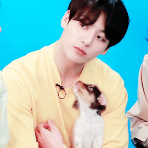 BTS Plays With Puppies While Answering Fan Questions (BuzzFeed 인터뷰)