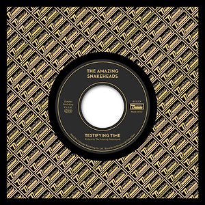 The Amazing Snakeheads - Nighttime