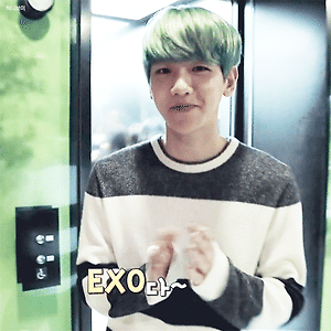 [GIF] 151025 원드림원코리아 백현 BAEKHYUN