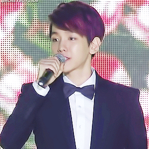 [GIF] 130703 한중우정콘서트 백현 BAEKHYUN