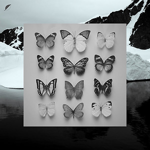 Christian Löffler - Veiled Grey