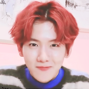 [GIF] EXO-CBX sohu interview 백현 BAEKHYUN