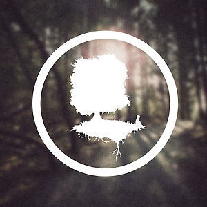 Firewoodisland - Simon