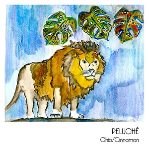 Peluché - Ohio