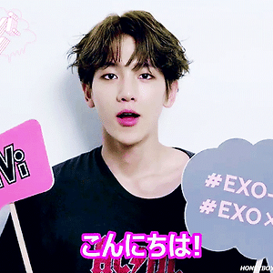 [GIF] 161017 ViVi EXO BAEKHYUN 백현 클립 영상