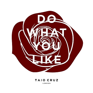 Taio Cruz - Do What You Like