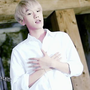 [GIF] 150814 DMZ평화콘서트 백현 BAEKHYUN