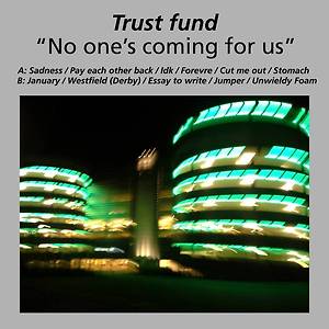 Trust Fund - Essay to write