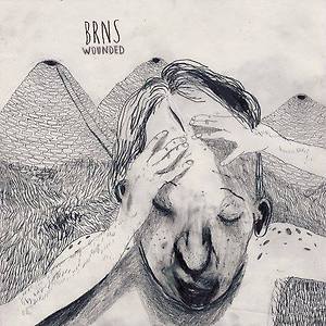 BRNS - Void