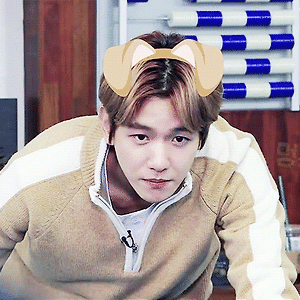 [GIF] 아미고TV 첸백시 편 백현 예고 BAEKHYUN