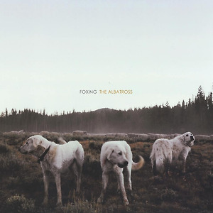 Foxing - The Medic