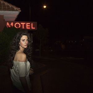 Lana Del Rey - Chelsea Hotel No.2