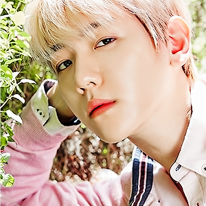 [EDIT] 네이처리퍼블릭 랜티큘러 포토카드 백현 BAEKHYUN
