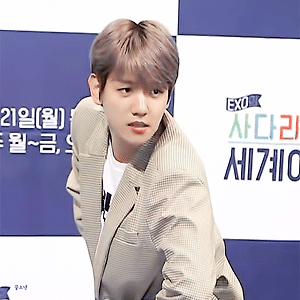 [GIF] 180529 엑소의 사다리 타고 세계 여행 첸백시 제작발표회 백현 BAEKHYUN