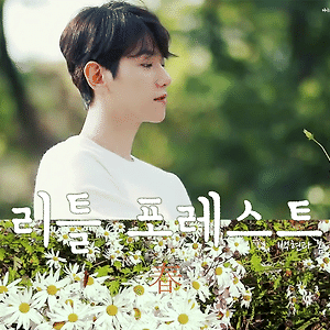 [GIF] 리틀 포레스트 <백현과 봄>