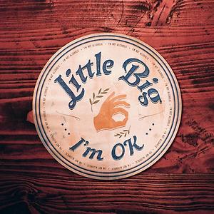LITTLE BIG - I'M OK