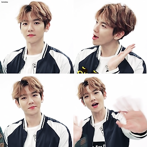 [CAP] 2017 BANGKOK SUPER LIVE EXO-C.B.X. s Greeting Thai Fans Version 백현 BAEKHYUN