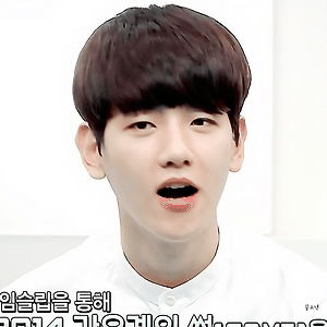 [GIF] 140815 EXO 90:2014 백현 BAEKHYUN