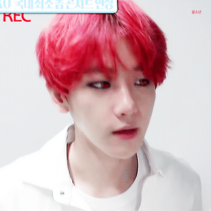 [GIF] 151011 섹션TV연예통신 백현 BAEKHYUN