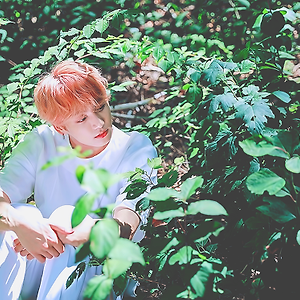 [스타캐스트] 2019 시즌그리팅 촬영현장, 방탄소년단 과 함께라면 무엇이든지 대확행!
