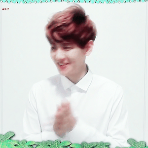 [GIF] 정글의 법칙 영상편지 백현 BAEKHYUN