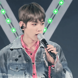 [GIF] 180203 네이처 리퍼블릭 팬페스티발 백현 BAEKHYUN