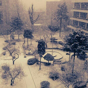 눈❄️