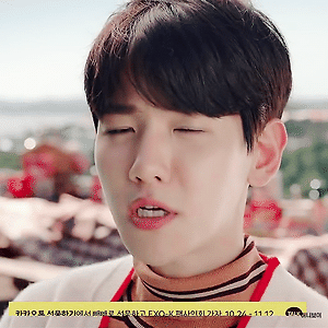 [GIF] 빼빼로 백현