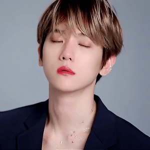 [GIF] EXO 2019 SEASON'S GREETINGS 백현 BAEKHYUN
