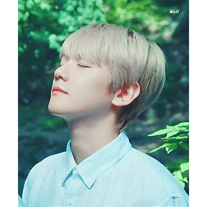 [GIF] KTO X EXO TVC #Korean - style Healing 백현 BAEKHYUN