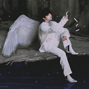 swan lake jk