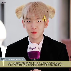 픽션 인터뷰