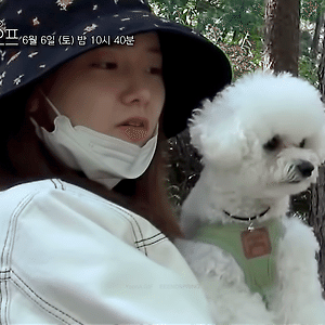 온앤오프 [선공개] 윤아의 VLOG 반려견 래오의 tvN 데뷔(?) 방송