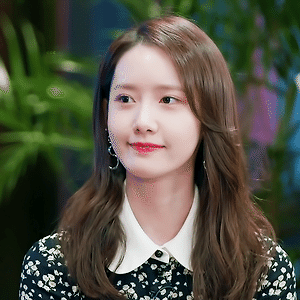 딩고 무비 딩차딩차