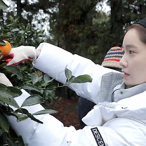 효리네 민박2