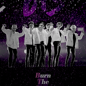 burn the stage : the movie (번 더 스테이지 : 더 무비)
