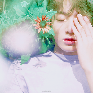 love yourself 네이버독점공개사진 보정