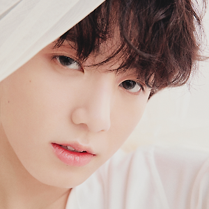 LOVE YOURSELF 轉 'Tear' Concept Photo Y,U version
