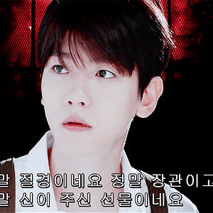 [GIF] “정말 장관이네요 정말 절경이고요 정말 신이 주신 선물이네요” 백현 BAEKHYUN