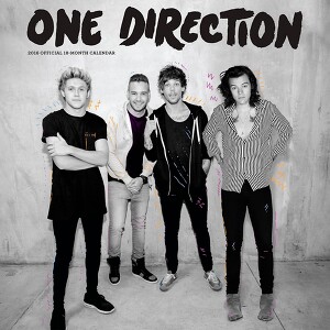 One Direction - History