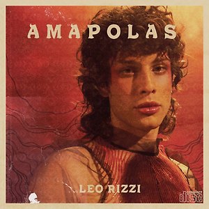 Amapolas - Leo Rizzi